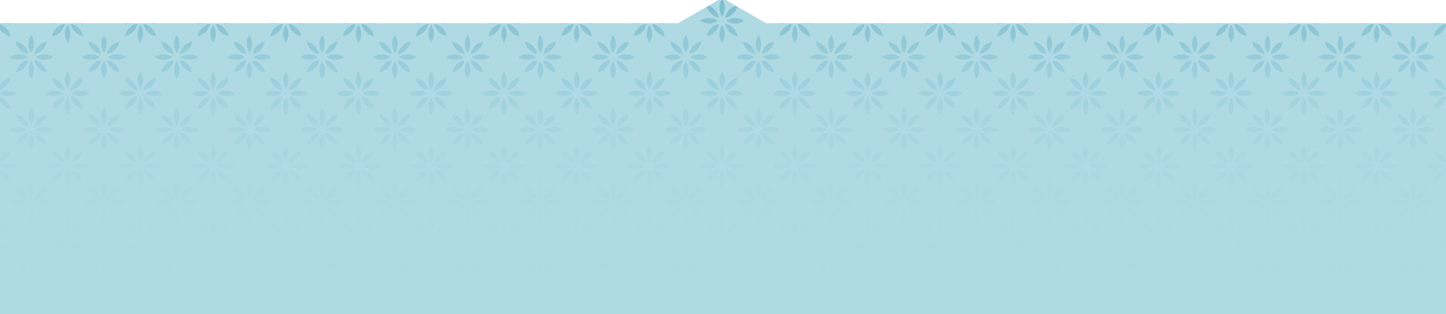 home-banner
